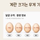 신선한농장 이미지