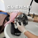포레스타 | 시원한 마석두피 탈모관리 도노포레스타화도마석점 후기