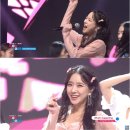 심플리에 이미지