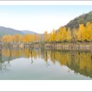 가을여행 이미지