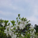 소향농장 이미지