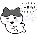 이디홀 이미지