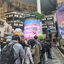 메이플 풀타워 | [26/04/29] 메이플스토리 23주년 기념 롯데월드 전일대관 방문 후기