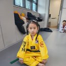 국가대표 탑 태권도장 이미지