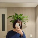 왁스온 왁싱살롱 반포점 이미지
