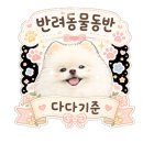 고기앤미트안성