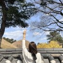 경주 황리단길 987피자 내돈내산 피맥 솔직후기