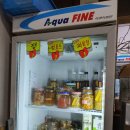 여우하품 이미지