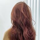 디어드헤어 분당미금점 네이버블로그