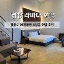 로얄 오락실 | 즐기는 대관령 여행 | 가족여행 숙소 추천 | 펫룸 로얄 스위트 디럭스 패밀리 펫룸 비교 | 내돈내산...