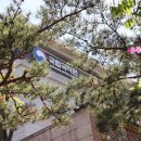 세종의 신악 - 뿌리 깊은 나무 샘이 깊은 물 | 국립국악원 세종의 신악, 국악공연 보고왔어요~