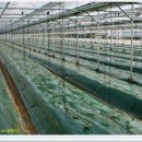 햇님농장 이미지