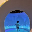 장성공설운동장 11 이미지