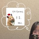 일산로358번길 이미지