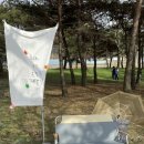 백운정 | [안동 벚꽃] 놀이기구 가능한 벚꽃축제? 아니면 백운정 (취향따라 2)