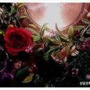 꽃나라플라워 이미지