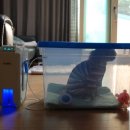 오투케어 이미지