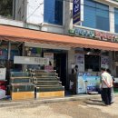 태안 오션뷰 캠핑장 추천｜SE클럽 태안 둘레길 캠핑장 S4 사이트 솔직 후기 🌅