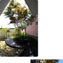 글로벌키즈하우스어린이집 이미지