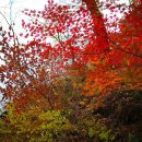 공주-06 이미지