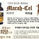 뼈와 건강 세미나 - “세포 내 칼슘 수치를 높이면 암도 치유할 수 있습니다.” 이미지