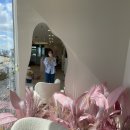 알파키즈치과의원 이미지