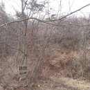 주암면사무소 이미지