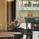 강남서로 | 용인/기흥 카페맛집 : 특별한 커피가 있는 지니엄 (+내돈내산 솔직후기!)