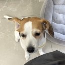 Yein | 춘천미용실 여자머리추천 파마 잘하는곳 디엔엠헤어 내돈내산