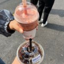 이노션 도비는 자유예요! D+1
