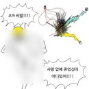 난조아 이미지
