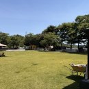 라포레캠핑장 | 충남 아산 라포레캠핑장 방문후기 | 오프리쉬 가능한 애견동반 캠핑장 추천