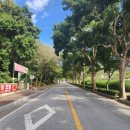 김제 모악산 캠핑파크(자동차) 이미지