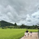 원두막집 민박 이미지