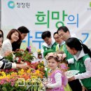 희망의 나무 이미지