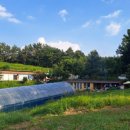 숲이랑농원 이미지