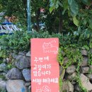 마당바위여울민박 | [함양 반달살기] 산촌민박 8박 9일 숙박 후기