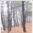 신당곡 이미지