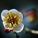 구원축사 이미지