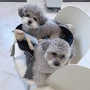 순수네일 네이버블로그