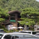 01-47 동구 | 대전드라이브코스 만인산자연휴양림 아이와 카페 방문후기