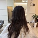 회천남로 | 옥정 미용실 커트 잘 하는 곳 [아르제헤어 옥정점]레이어드컷 후기