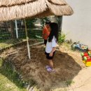 펜션 시즌 이미지