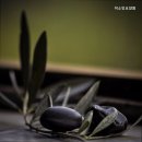 미소인요양원