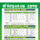 푸른잎사귀 이미지