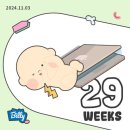 👼🏻주수일기:: 임신 29주차 기록, 대구 엑스코 베이비페어 40만원넘게 쇼핑을…더보기
