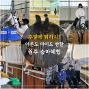 아이클럽 | 원주 체험 추천 - 홀스앤독 프리미어 아레나 승마클럽 아이 승마체험 후기