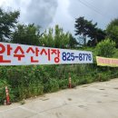 도안수산식당 이미지