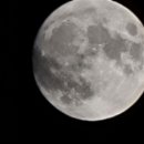 에어로빅(야간) 이미지