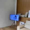 다채움 | [내돈내산] 다채움소파 모션쇼파 패브릭 컴피 3.5인용 / 경기 광주시 쇼룸 방문 후기
